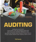 Auditing